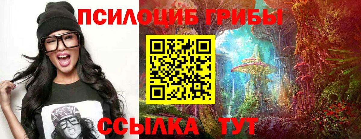 где можно купить   Галлюциногенные грибы MAGIC MUSHROOMS  Вход с VPN  Архангельск  Галлюциногенные грибы Magic Shrooms 