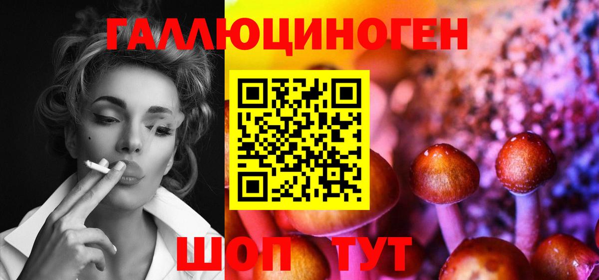 Галлюциногенные грибы мухоморы Архангельск